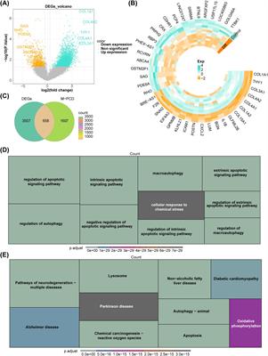 Transcriptome combined with Mendelian randomization to screen key genes associated with mitochondrial and programmed cell death causally associated with diabetic retinopathy